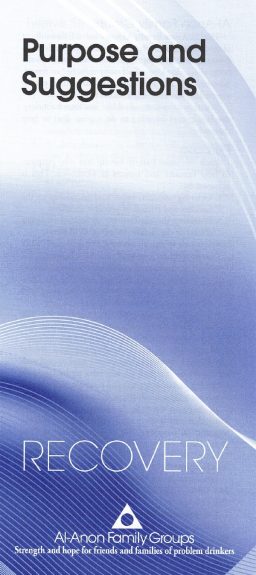 Purpose and Suggestions (P-13)