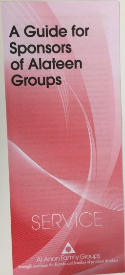 Guide for the Sponsors of Alateen Groups (P-29)
