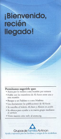 Serie para recien llegados (SK-10)