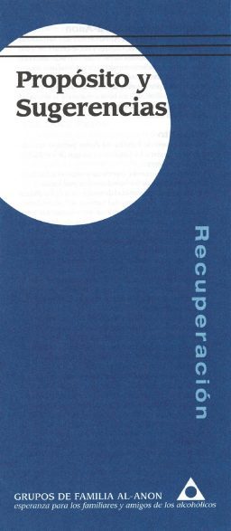 Proposito y sugerencias (SP-13)