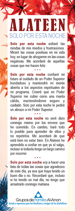Alateen Solo Por Esta Noche (SM-82)